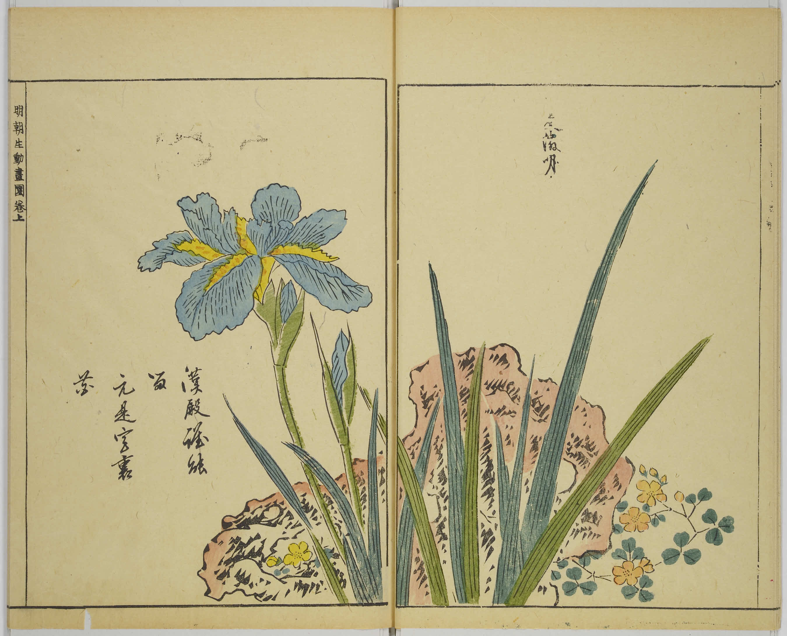 B1.3 本格的な日本画譜の嚆矢と技術の発展