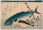 MFA-21.9615天保年間・・広重〈1〉「魚づくし」「鰍（いなだ）と河豚（ふぐ）に梅の枝」