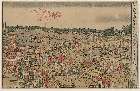 MFA-21.10202天明年間・・春朗(北斎)「新板浮絵両国喬夕涼花火見物之図（うきえりょうごくはしゆふすゞみはなびけんぶつのづ）」