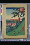 「名所江戸百景」 「目黒元不二」