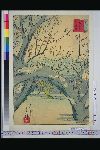 「三十六花撰」 「東京　梅屋敷　臥竜梅」