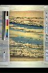 「東都名所」 「隅田川全図雪中景」