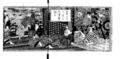 2010年6月3日 (木) 11:43時点における版のサムネイル