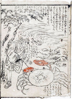 在庫有 O-1219 袋帯 csti.duquedecaxias 浦島太郎の世界 翌日発送可能