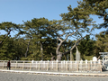 2021年12月21日 (火) 12:35時点における版のサムネイル
