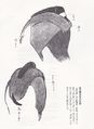 2013年1月27日 (日) 16:04時点における版のサムネイル