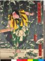 2009年2月2日 (月) 17:15時点における版のサムネイル