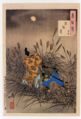 2009年12月17日 (木) 06:30時点における版のサムネイル
