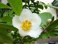 2021年12月21日 (火) 12:35時点における版のサムネイル