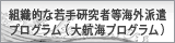 組織的な若手研究者等海外派遣プログラム（大航海プログラム）