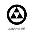 2017年2月9日 (木) 15:13時点における版のサムネイル