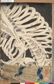 2017年2月9日 (木) 14:34時点における版のサムネイル