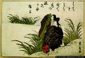 2017年2月9日 (木) 15:35時点における版のサムネイル