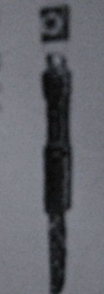 ファイル:316px-IMG 0467.jpg