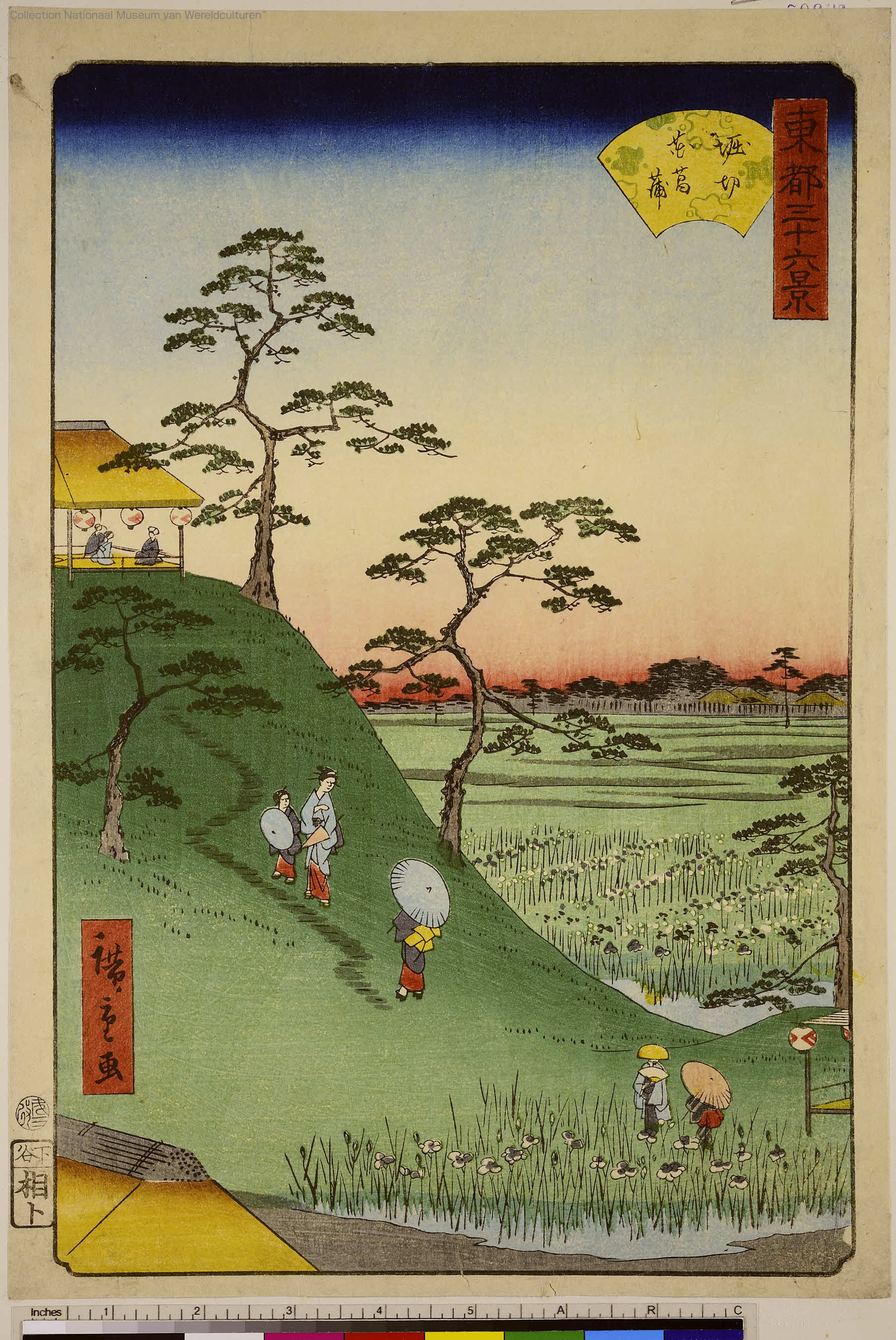東都三十六景」 「堀切花菖蒲」 - ジャパンサーチ