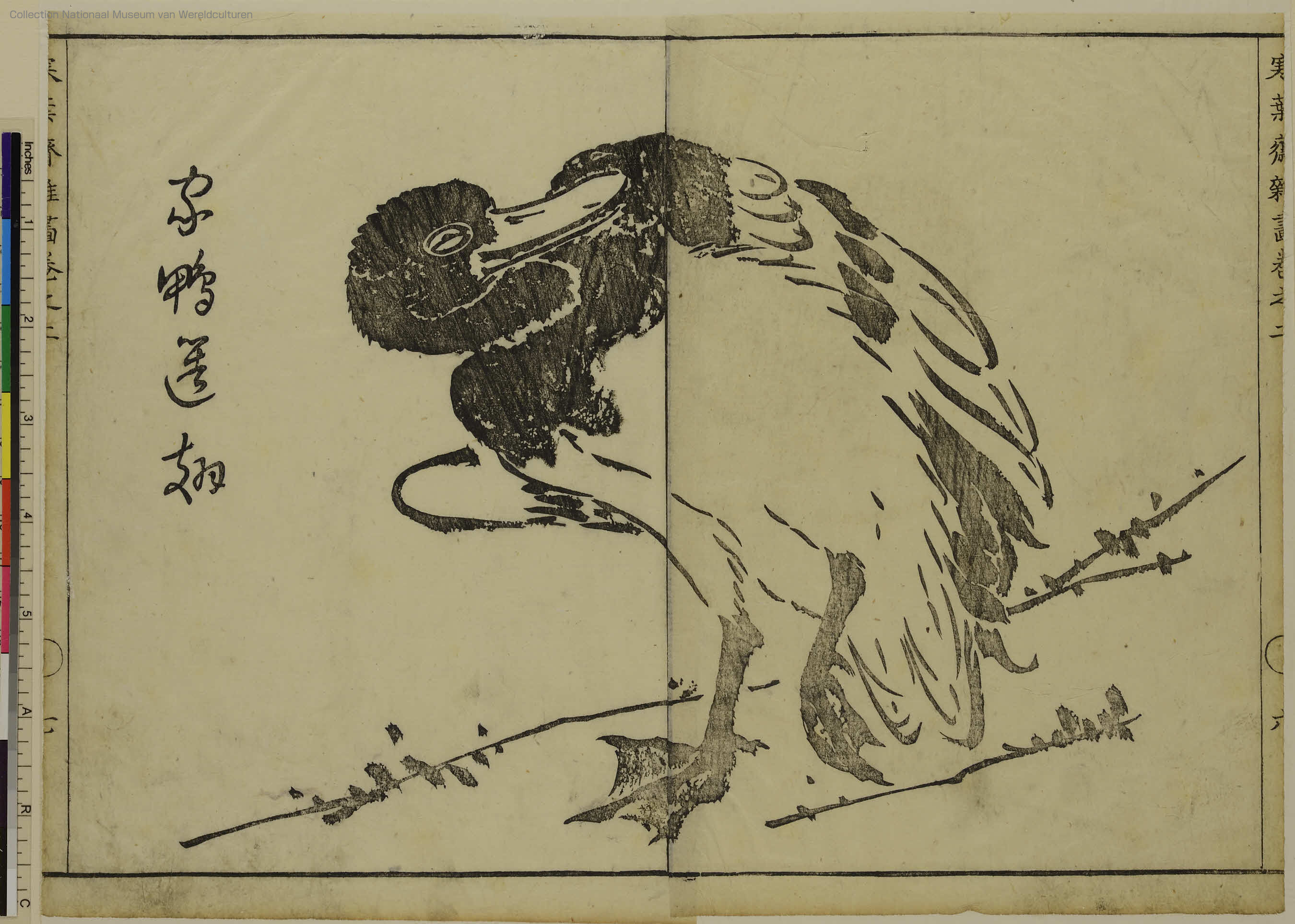 「家鴨送翅」寒葉斎（江戸）