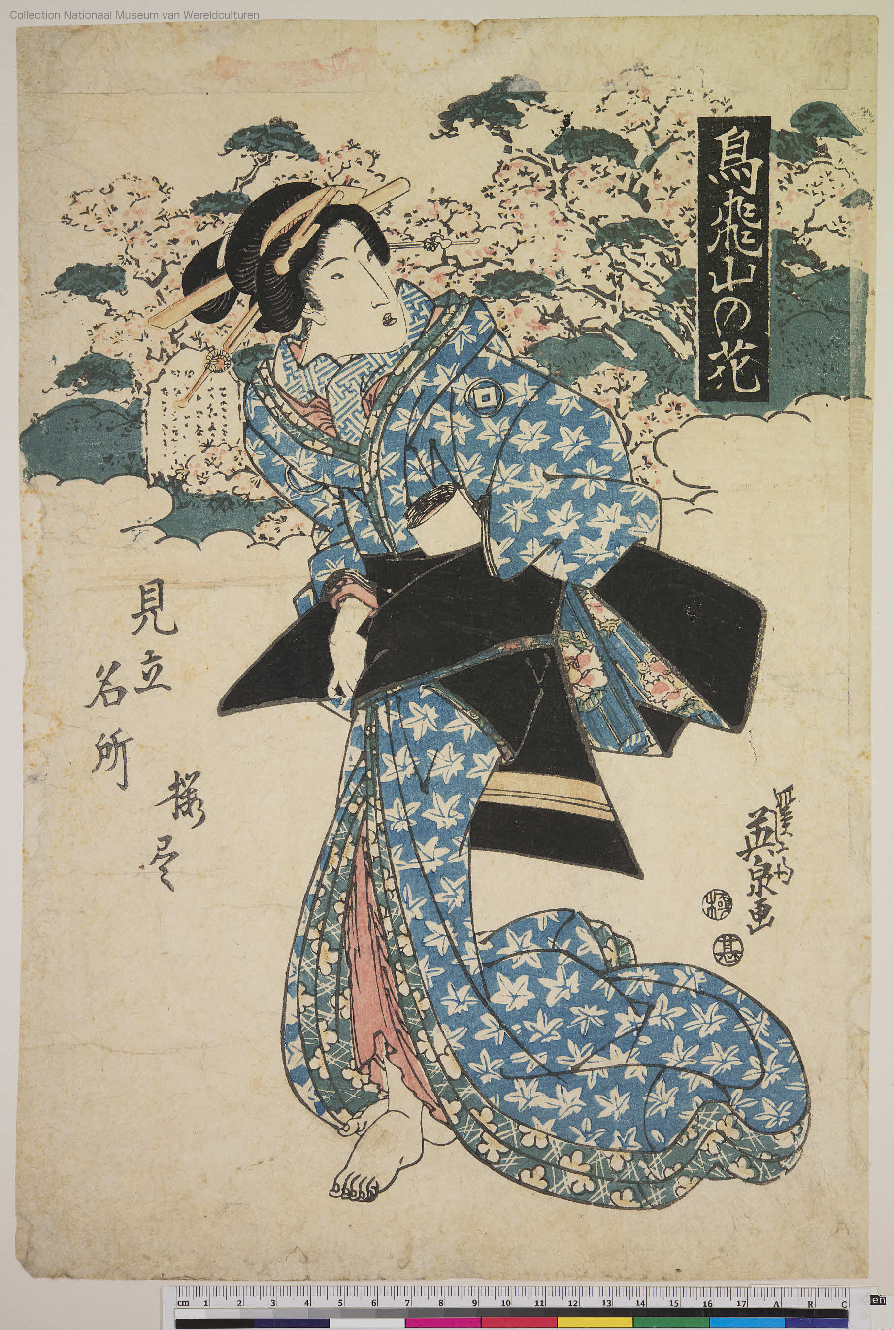 渓斎英泉 見立名所桜尽 小金井の花