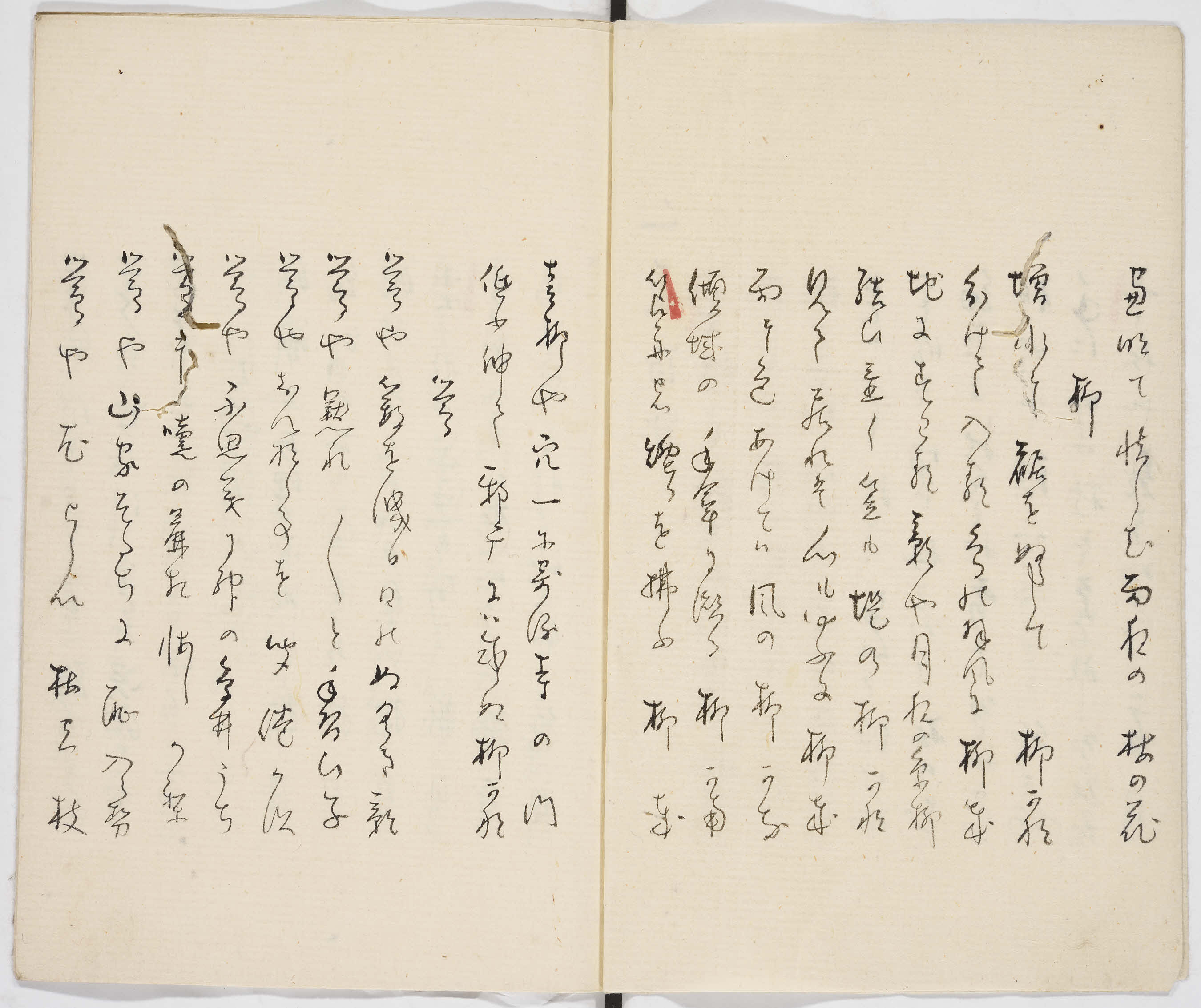 A1m. 写本目録/  Manuscripts (Bibliographic) 