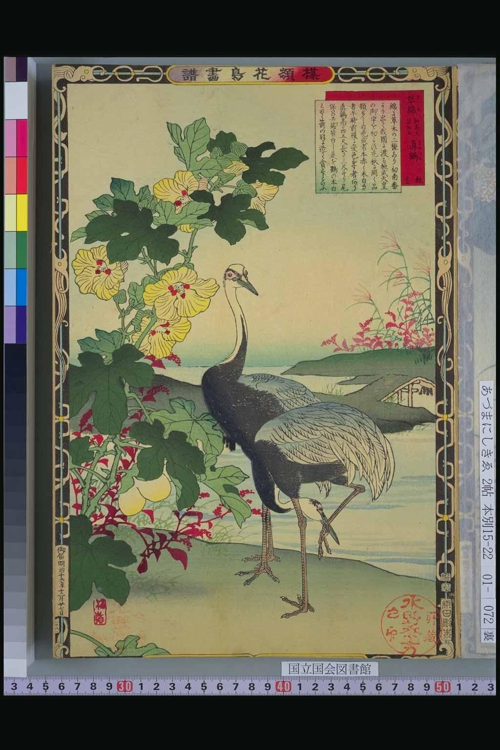 「草綿」「真鶴」幸野楳嶺（明治）