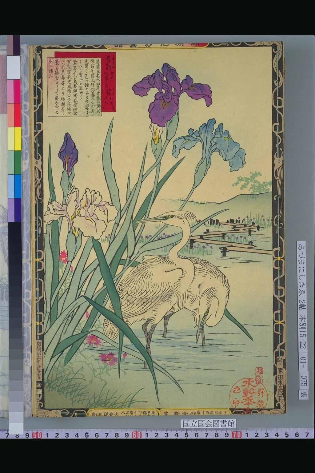  「菖蒲」「鷺」幸野楳嶺（明治）