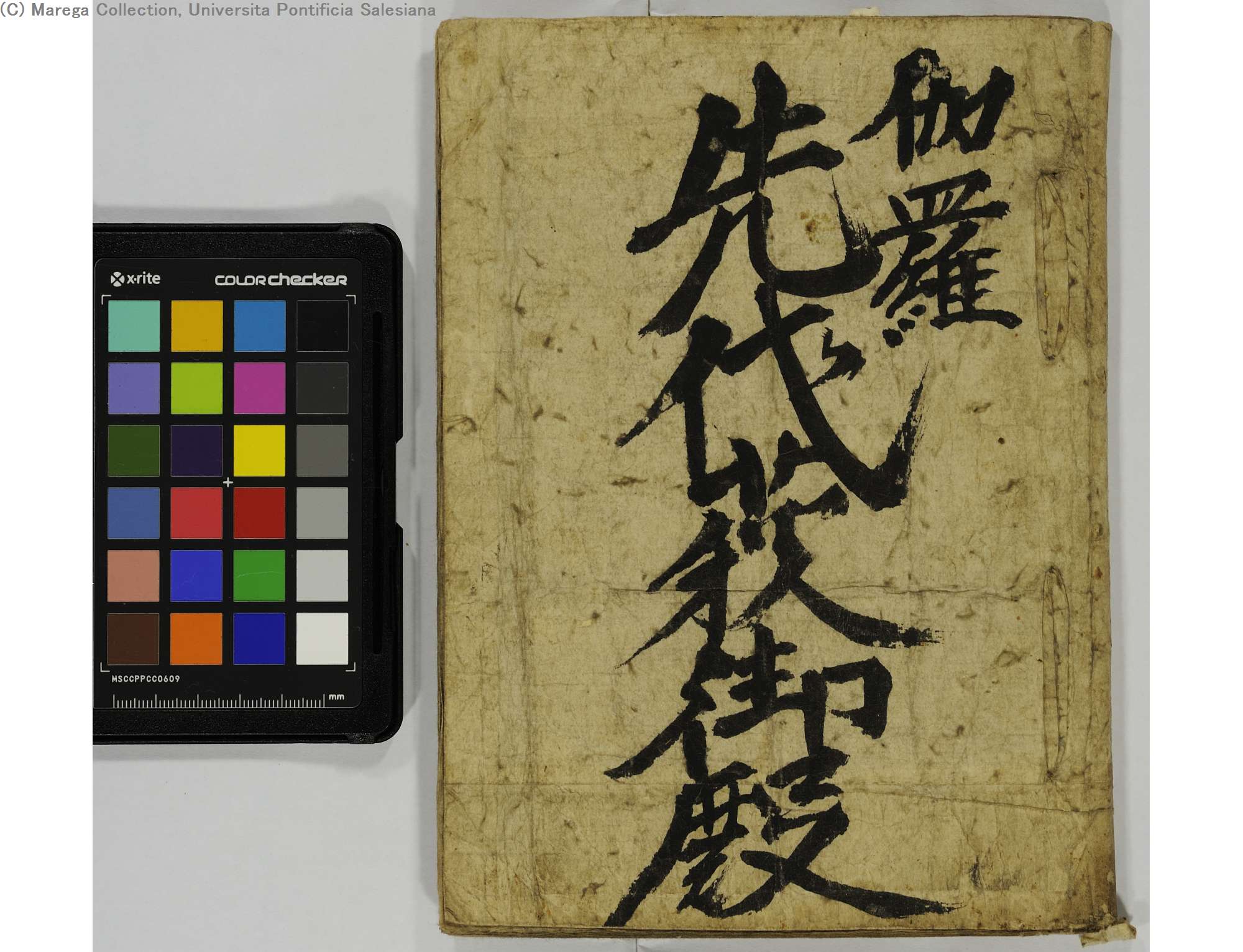 伽羅先代萩 Japan Search 伽羅先代萩 Japan Search