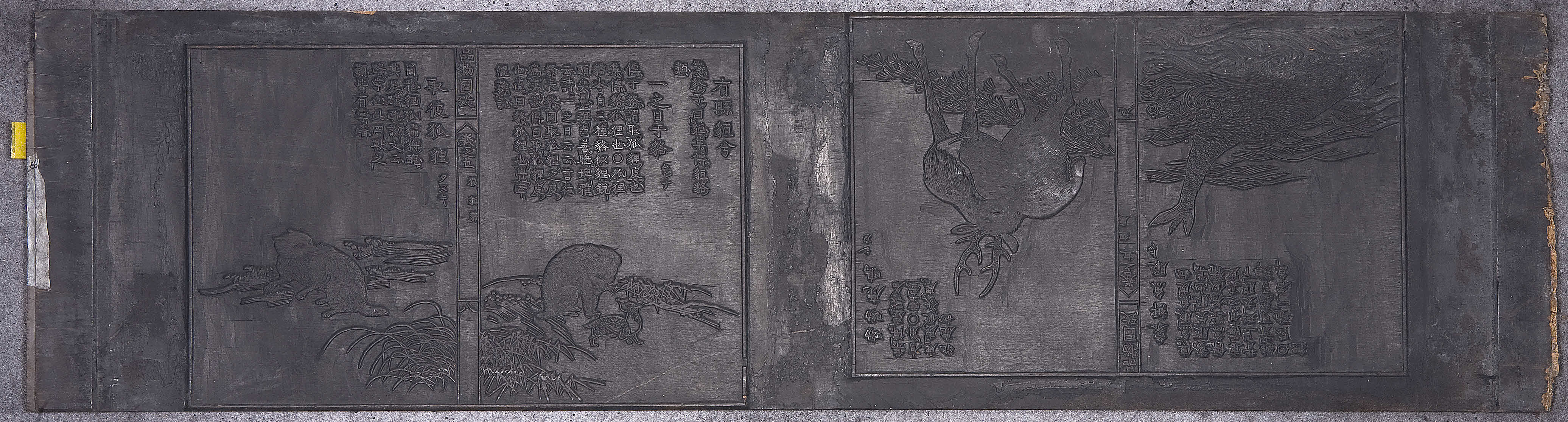 『毛詩品物図攷』