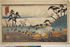 BAMPFA-1919.0150天保後期・・広重〈1〉「江都名所」「飛鳥山花見」