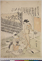 BAMPFA-1919.0347安永０１・春章〈1〉「かゐこやしなひ草」「第一」