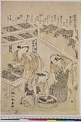 BAMPFA-1919.0348安永０１・春章〈1〉「かゐこやしなひ草」「第三」