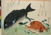 BM-1906_1220_0982・・広重〈1〉(魚づくし)(黒鯛と小鯛と山椒)