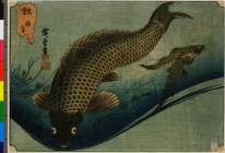 BM-1907_0531_0593・・広重〈1〉(魚づくし)「鯉」「ふな」