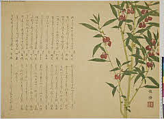 sjL1-0085・松川龍椿