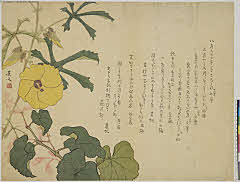 sjL1-w047文政07・松村景文黄蜀葵と秋海棠図摺物