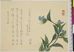 sjS1-0384嘉永０２・
