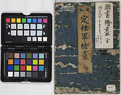 shinpan sadatouikusaedukushi