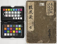 hitomanesarunoshiriwarai