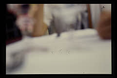 tanSF.A01-02_01()