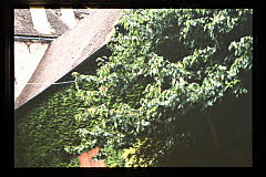 tanSF.A01-09_01()