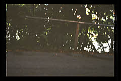 tanSF.A01-16_01()