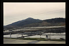 tanSF.A02-09_23()