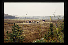 tanSF.A02-10_14()