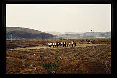 tanSF.A02-10_16()