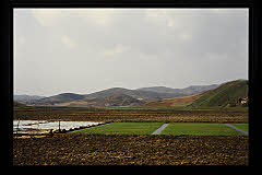 tanSF.A02-11_18()