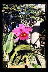 tanSF.A03-02_07()