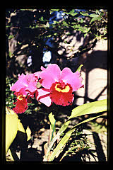 tanSF.A03-02_08()