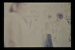 tanSF.A03-06_01()