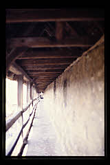 tanSF.A03-11_26()