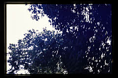tanSF.A03-14_01()