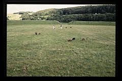 tanSF.A04-06_20()