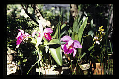 tanSF.A04-09_34()